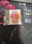 4 colour flowers